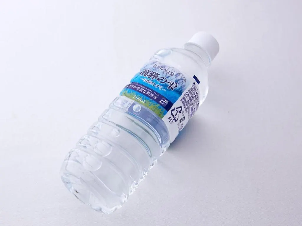 埃克莱尔博酒店 福岡 3*,  日本